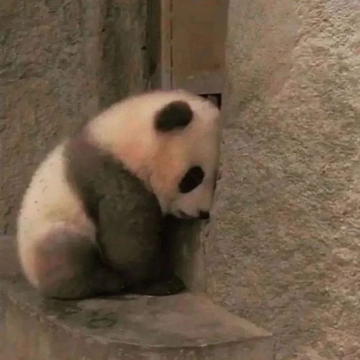 when will i know peace