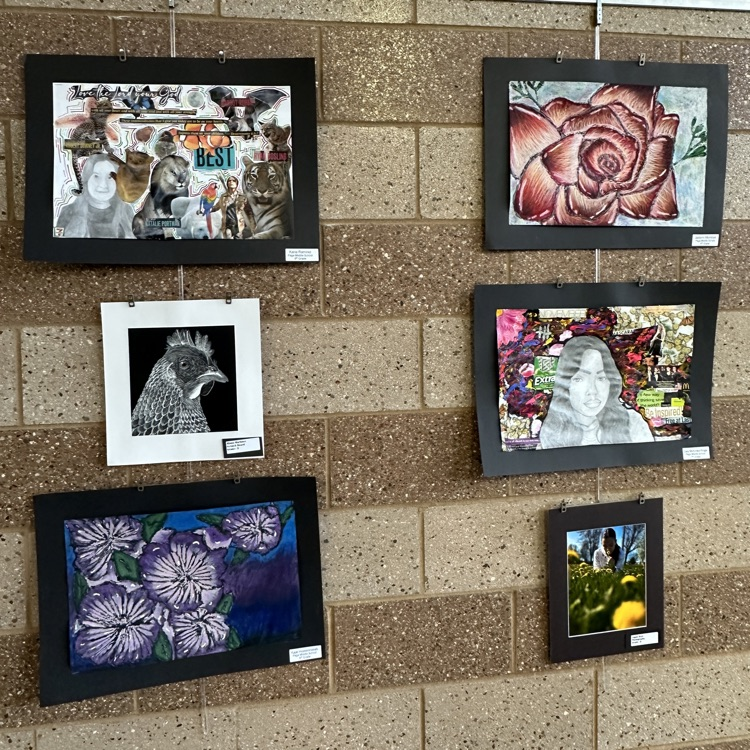 No better way to start the day than walking into Oakland Schools and being greeted with the amazing artwork of our Page Middle School artists. Darla Gower, you've got some creative students. #wearelamphere