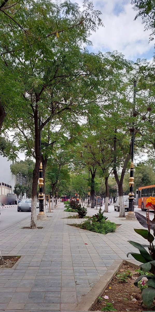 راضـ🥀ـية tweet media