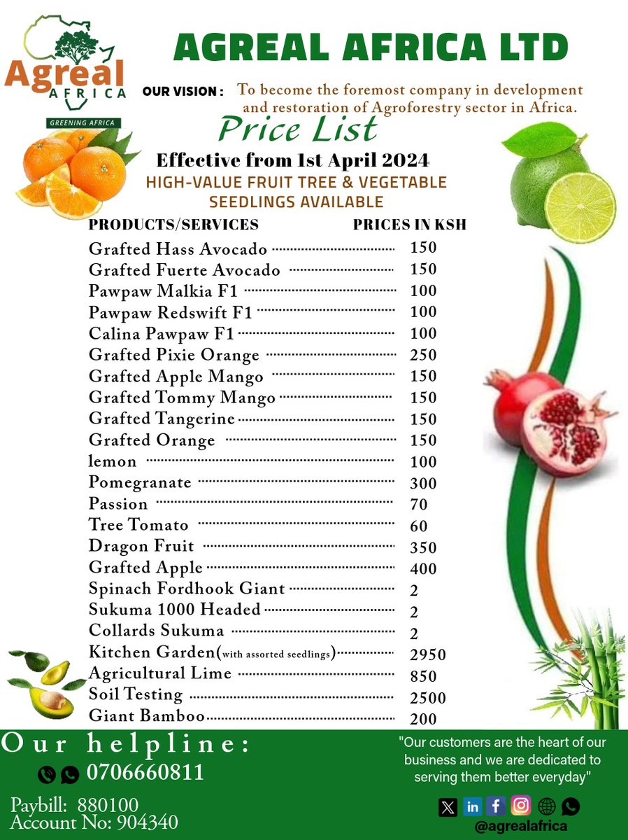 agrealafrica's tweet photo. 𝐓𝐚𝐣𝐢𝐫𝐢𝐤𝐚 𝐧𝐚 𝐨𝐮𝐫 𝐡𝐢𝐠𝐡-𝐯𝐚𝐥𝐮𝐞 𝐟𝐫𝐮𝐢𝐭 𝐭𝐫𝐞𝐞 𝐬𝐞𝐞𝐝𝐥𝐢𝐧𝐠𝐬! 🌳🍋

 Invest in your future with quality seedlings that promise high yields and profits. Start your journey to wealth and sustainability today! 🌱💰 #HighValueSeedlings #SustainableFarming https://t.co/xaoVltpqFr