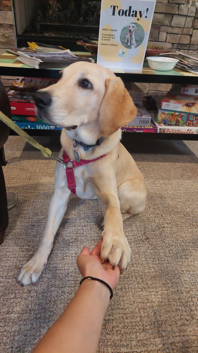 Giving a big round of “a-paws” for this little cutie. “Paris” is a dog in training from Eyes Ears Nose and Paws that has been comforting our guests recently. So thankful to Paris and dog trainer, Rhonda Patterson for helping with the stress that can come with healthcare issues.