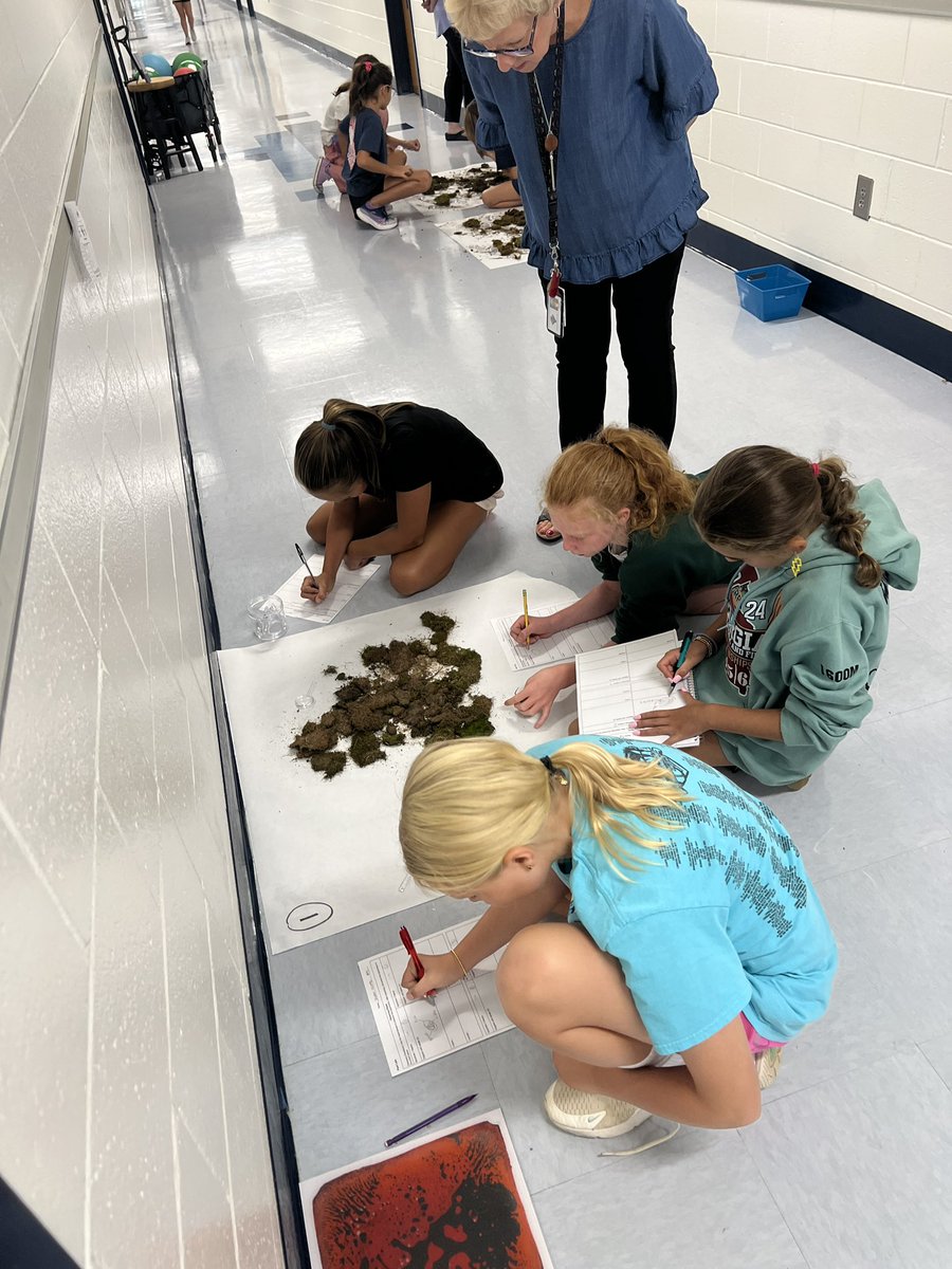 Using models to help us learn more about the attributes of vascular and non vascular plants! 🌿🔬