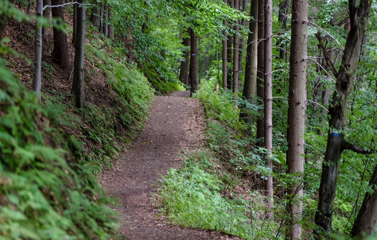 CyclingIndustryNews tweet media