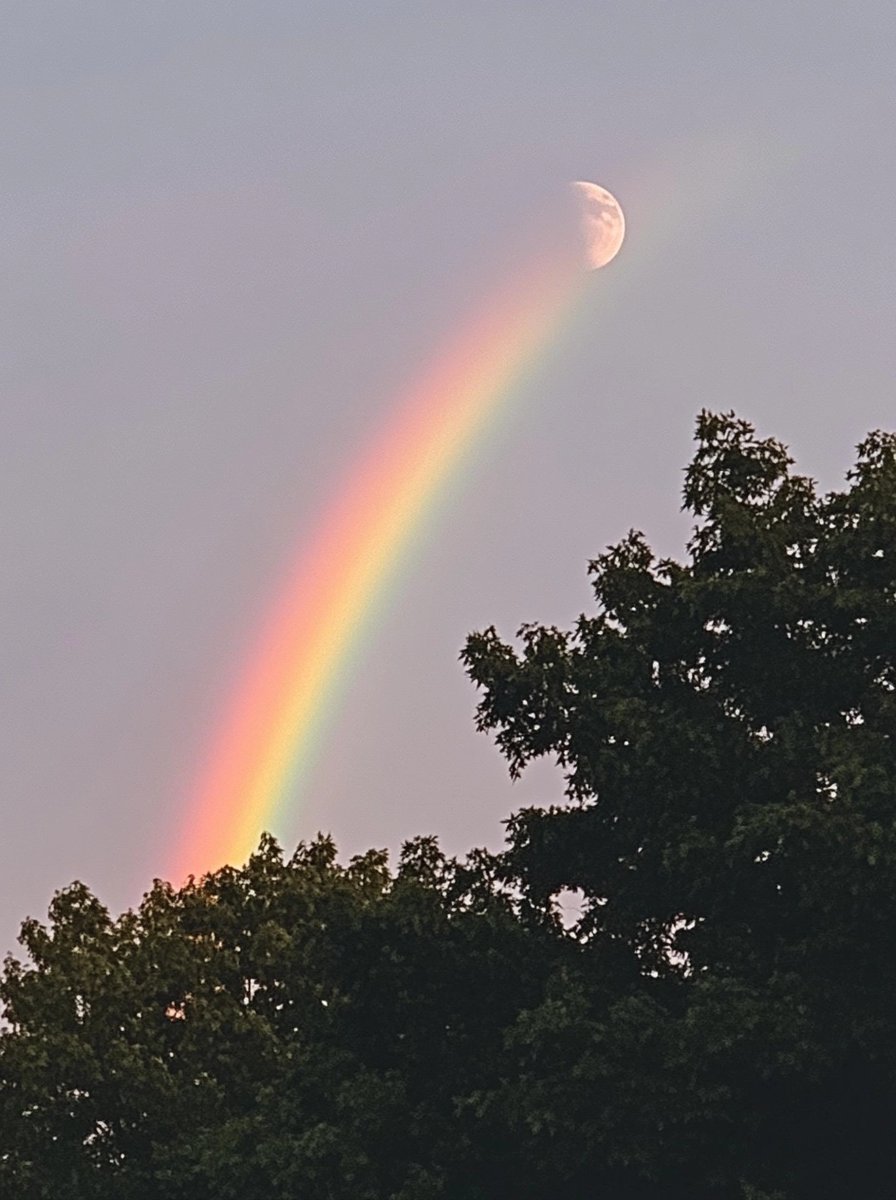 今、不安でしかたない人、、、

いよいよ
待ちに待った大逆転が起こります✨

たった一度きりの人生
絶対に大逆転起こしたい人は「大逆転！」とリプしてくださいね🎉