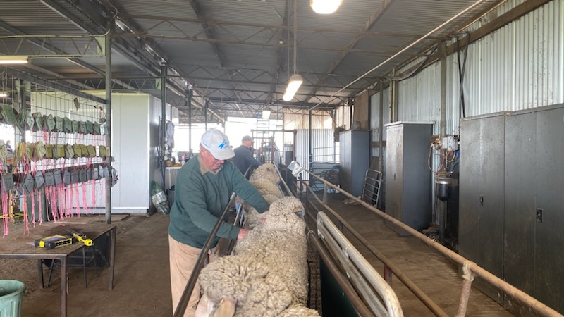 John Paul Collins tweet media