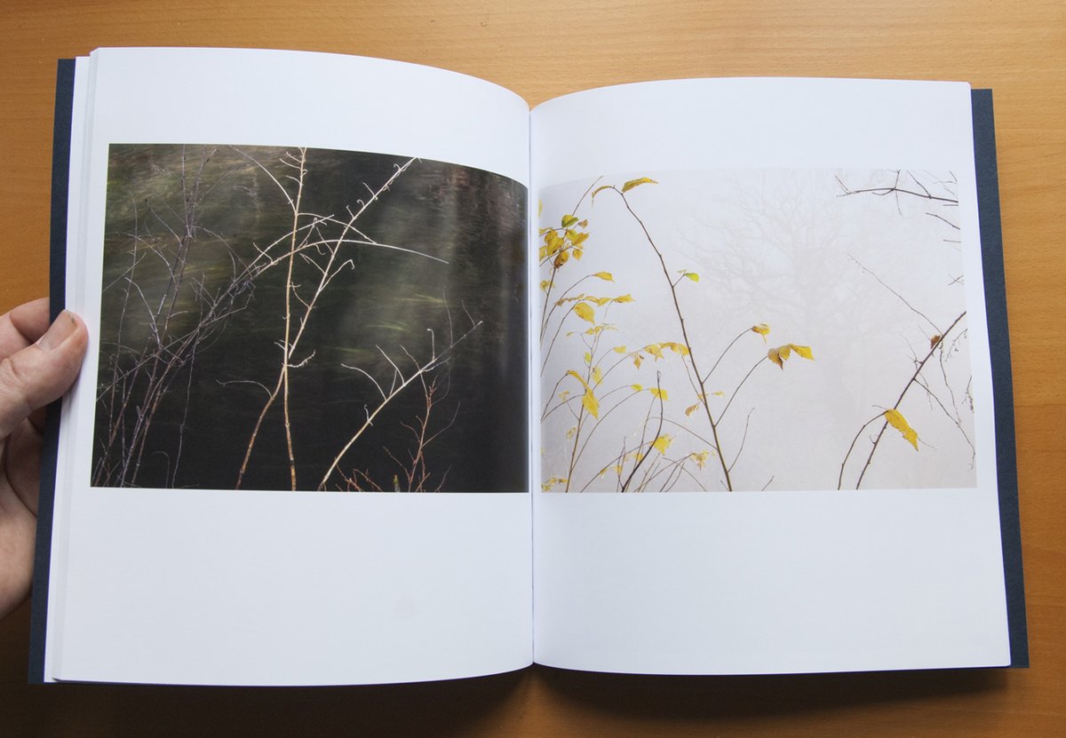 We've been having a tidy out and we've found a number of 'seconds' which we've added to the store. These will be the last copies available of  these titles, so be quick if you want one!

'Sun Lights This Water' by @amharmanphoto - £15 each anotherplacepress.bigcartel.com/product/sun-li…
