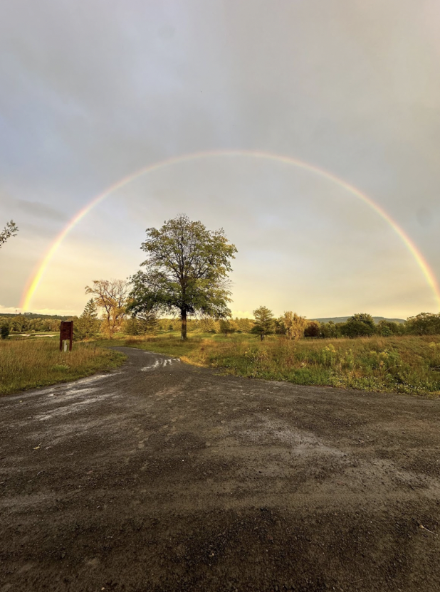 Tracy Duberman tweet media