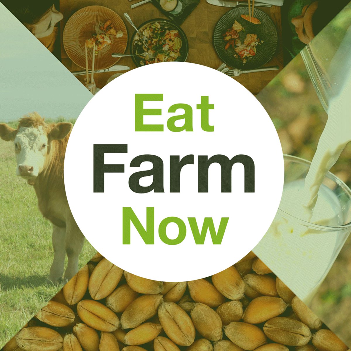 TheAdPlain's tweet photo. #DidYouKnow that our sister company runs one of the leading #websites about #food & #farming? 🚜
#TeamTAP MD, and the platform’s publisher, @mrduncanmc tells us all about @eatfarmnow in our latest blog ⬇️
https://t.co/8TxZ3afM2e https://t.co/yz0GUfg5tM