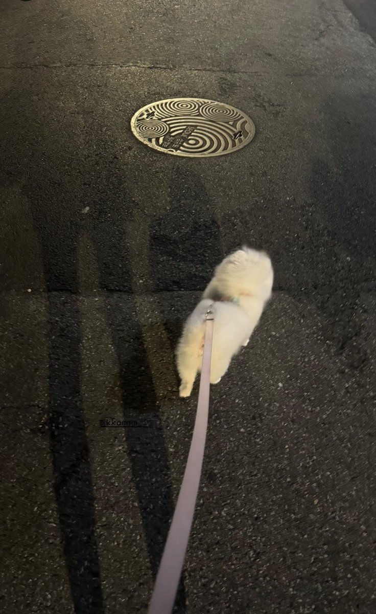 chaewonfiles's tweet image. 240910 silver_chae_526 IG stories

#권채원 #KWONCHAEWON