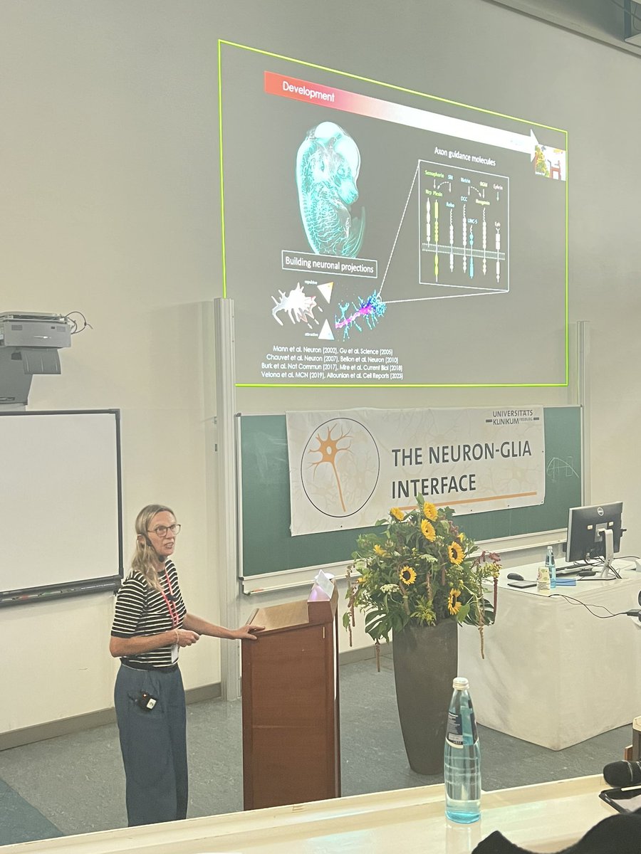 NGIFreiburg's tweet image. 🌟 Fascinating talk by Fanny Mann from @IBDMmarseille on "Neuroglial Remodeling in Pancreatic Cancer"! 🧠🔬 She shared insights into how pancreatic cancer reactivates neurodevelopmental programs. A must-see for cutting-edge cancer research! 🌟💡 #CancerResearch
#NGIFreiburg