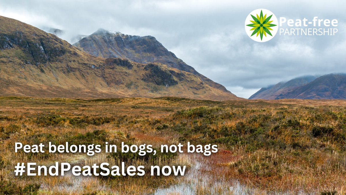 gardenorganicuk's tweet photo. Did u know #peat is still not banned for #gardening & #horticulture? We've joined forces with the horticultural industry & @PFpartnership to let @keir_starmer know we need to #EndPeatSales now. Read more at https://t.co/wDkMKJT2vt. #saveoursoil #peatfree #forpeatssake https://t.co/NaFfO8ZVnn