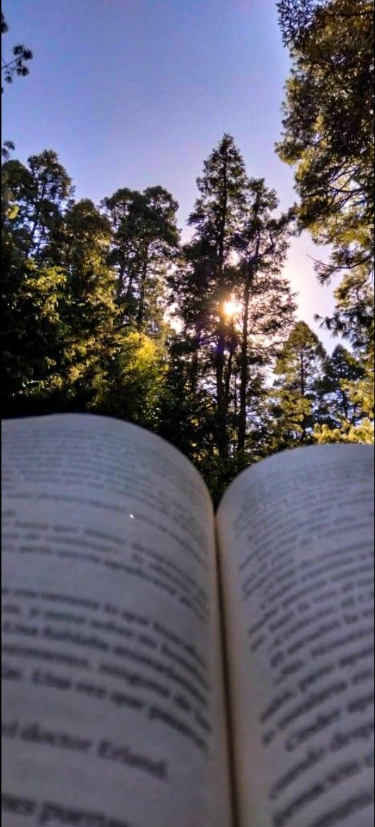 "El descanso, la naturaleza, libros, música... Ésa es mi idea de felicidad". 
León Tolstói