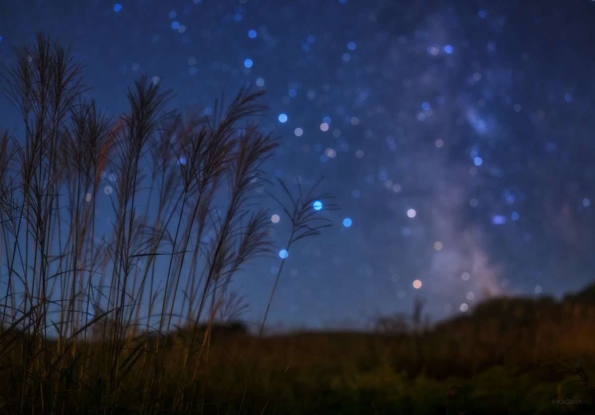 虫の音響く秋の始まりの夜。
すすき越しに夏のなごりの南斗六星。
（昨日、岩手県にて撮影）
今日もお疲れさまでした。