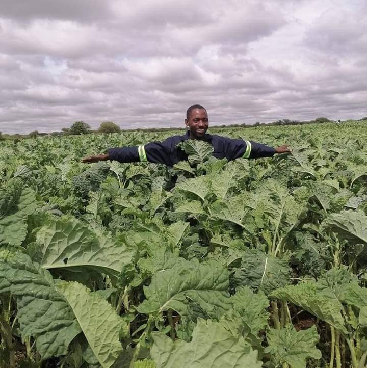 My brother vakadzidziswa neZanu PF kuti kunorimwa Huchi baba ini ndofira kuZanu PF