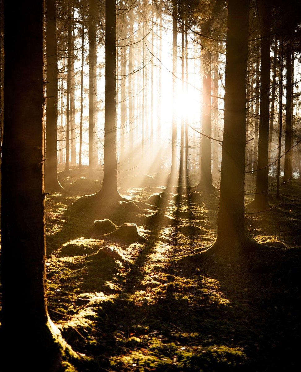 The last summer days while the sun sets earlier and the air gets cooler. Winter is creeping in, but there’s still time for a few more warm rides. ⁠
⁠
sockeloen.com

#sockeloen #cycling