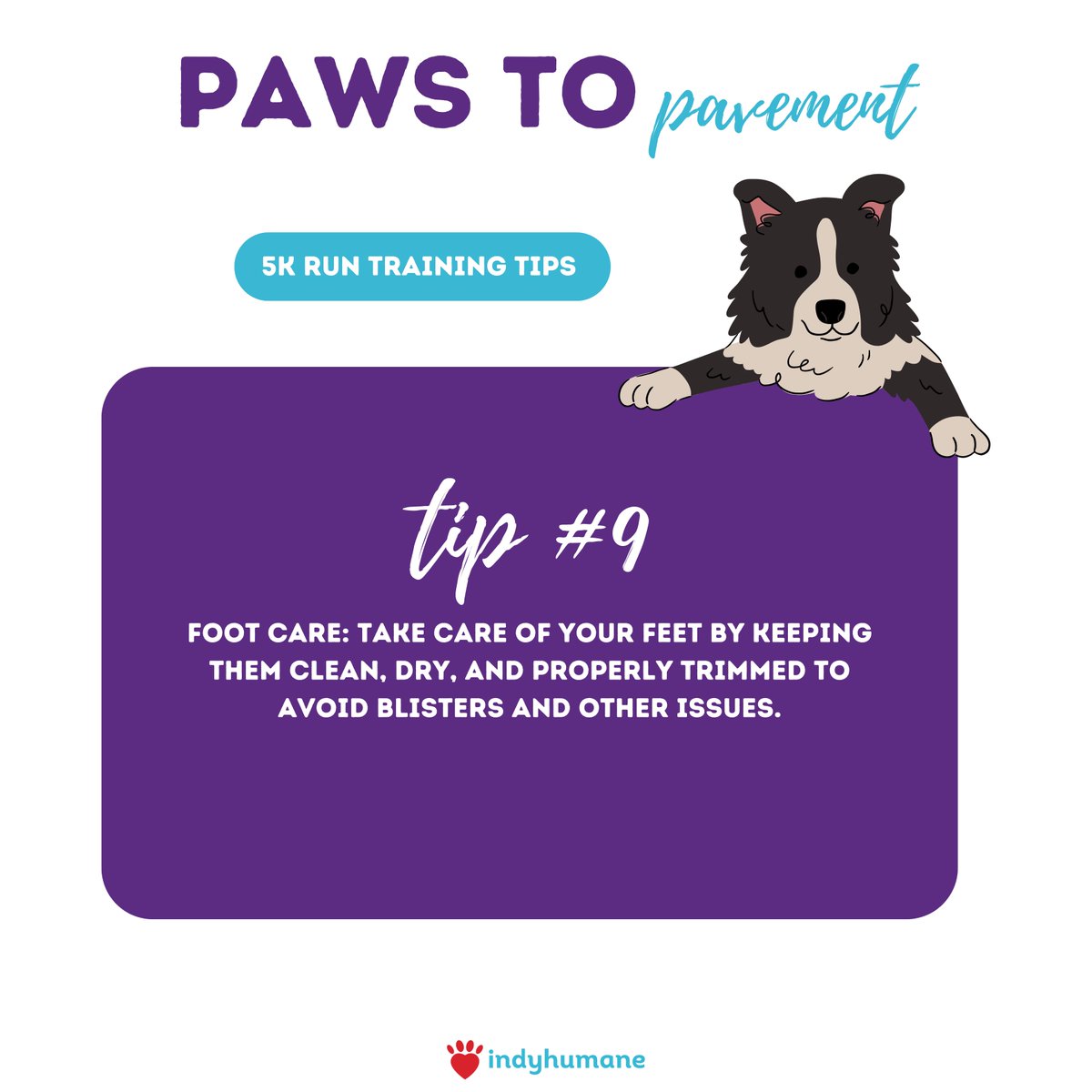 Getting ready for the Mutt Strut 5K? Here are some training tips to get you and your pup in shape! 🏃‍♂️Register for Mutt Strut now: muttstrut.indyhumane.org/event/mutt-str… 🐾 #MuttStrut2024