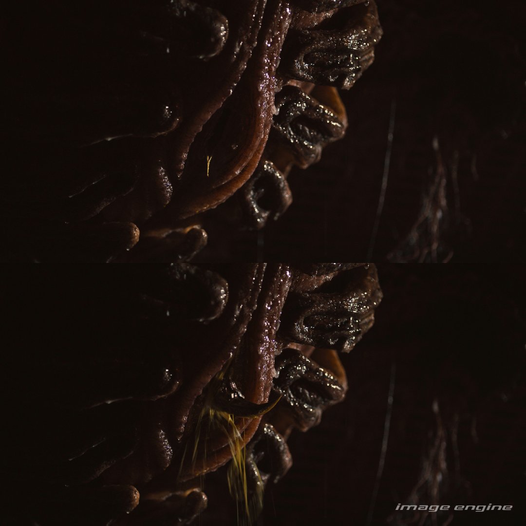 ImageEngine's tweet image. S T I L L S - Before & after of the VFX in #AlienRomulus by #ImageEngine. Yes, we worked on this scene… the one with many creative nicknames 👀 Just another day in the Xenomorph universe!