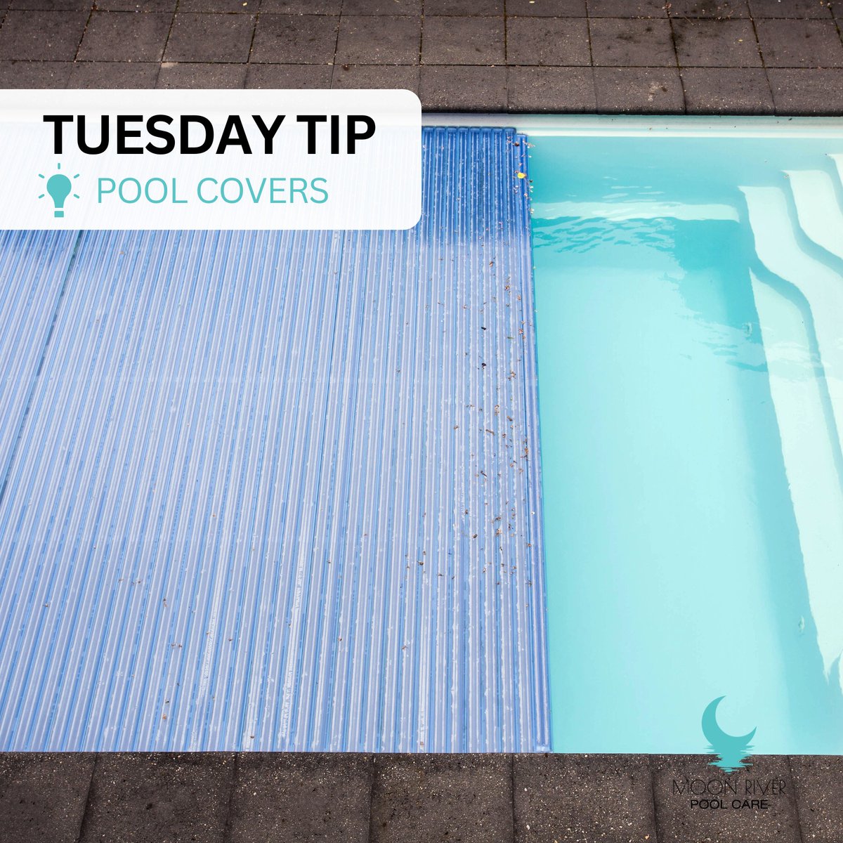 MoonRiverPools's tweet image. #PoolTipTuesday: Did you know that keeping your pool cover on when not in use reduces evaporation and keeps your water clear? 🏊 

For expert pool or spa care services at affordable prices, call Moon River Pool Care at (912) 244-3692.
