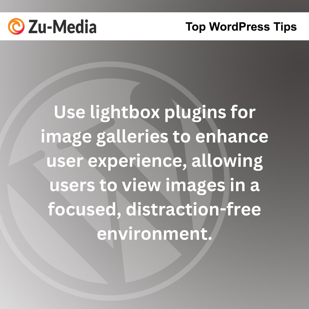 zu_media's tweet image. Visit Our Website: zu-media.co.uk

#LightboxImageGalleries #ImmersiveViewingExperience #ClutterFreeImageDisplay #FocusedVisualPresentation #InteractiveImageBrowsing #ElegantGalleryNavigation #SeamlessImageTransitions #EngagingVisualShowcase
