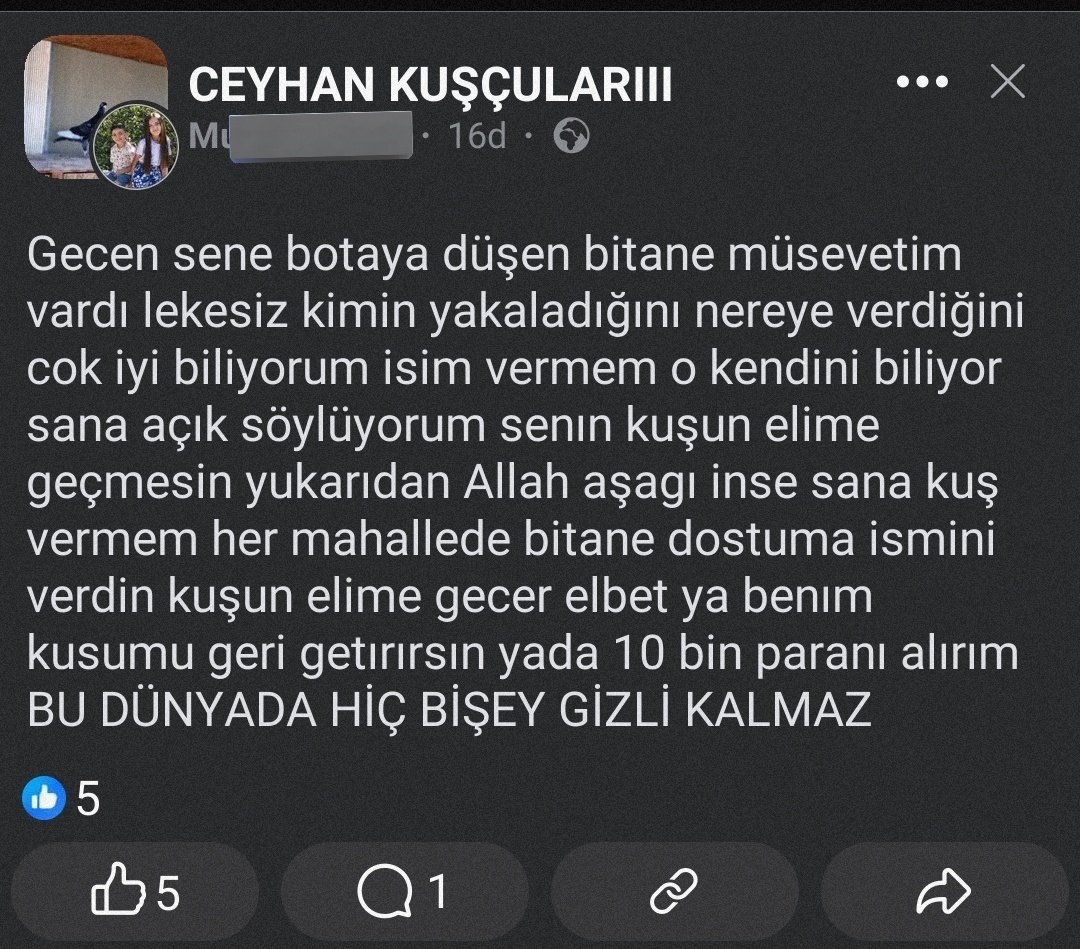 feysbukdayim's tweet photo. 🕊️ günün kuşçusu https://t.co/iYk9WLT3S9