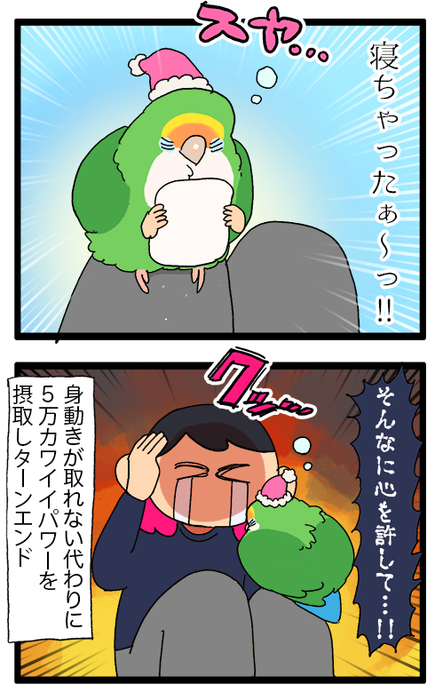 愛鳥が飼い主のことを信頼できる止まり木だと認定してくれてる事実があまりにも愛おしい😭😭😭のろけ日記です
1916 #えるポピの絵日記かくところ