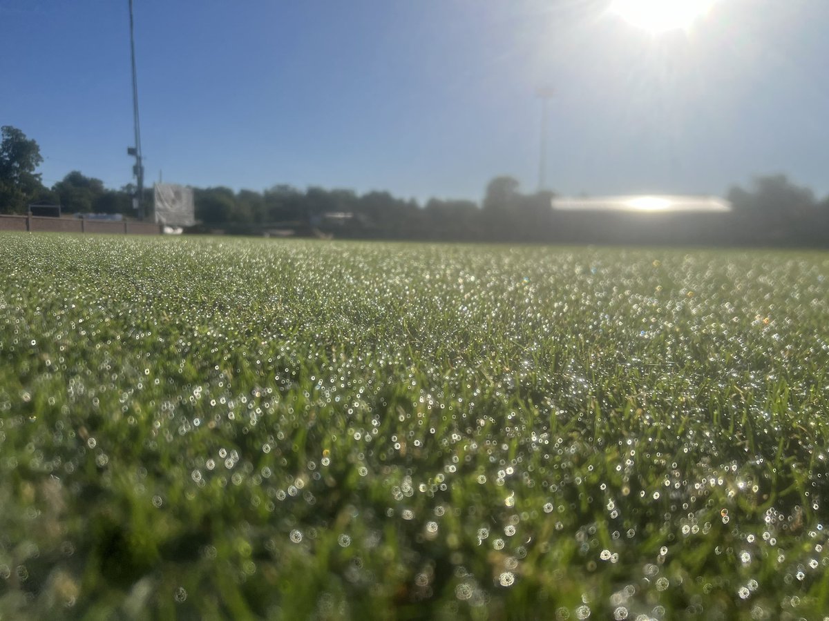 Lion_Clubhouse's tweet photo. New turf looking good !! https://t.co/RbJ89RVAca