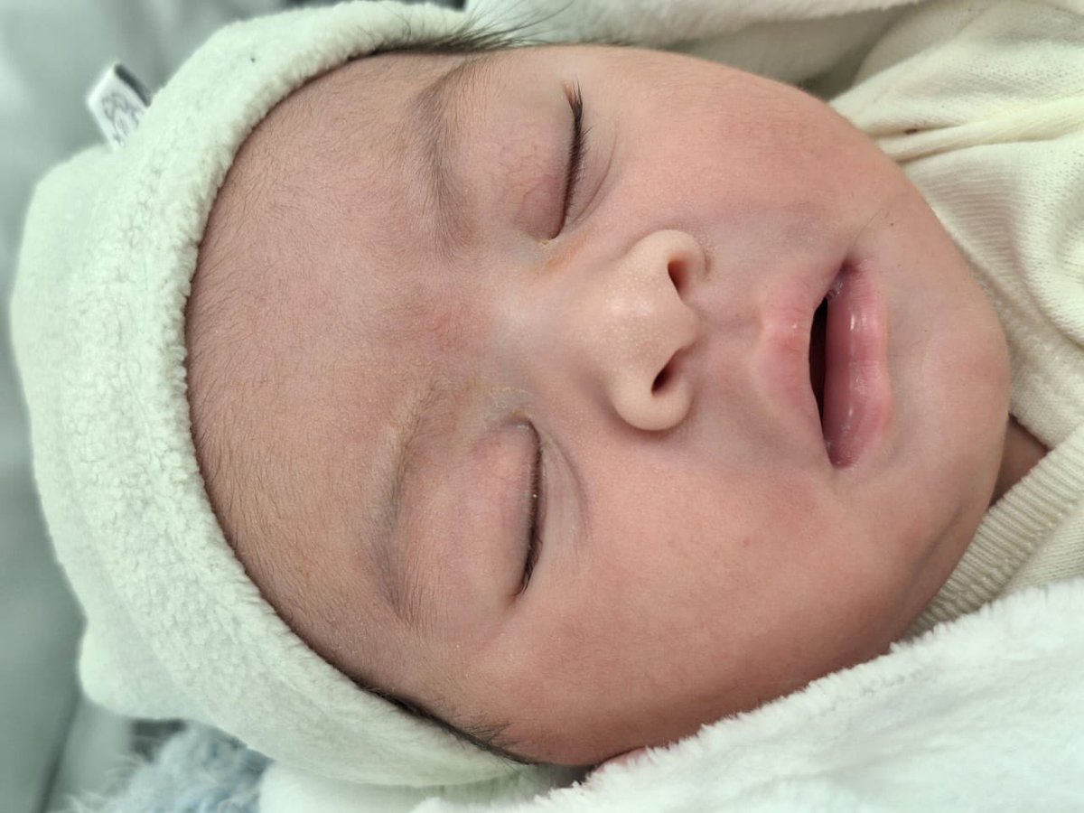 mmagailen's tweet photo. sos perfecta Delfina, la tia te ama mucho ❤️ https://t.co/CqJTm7PtZj