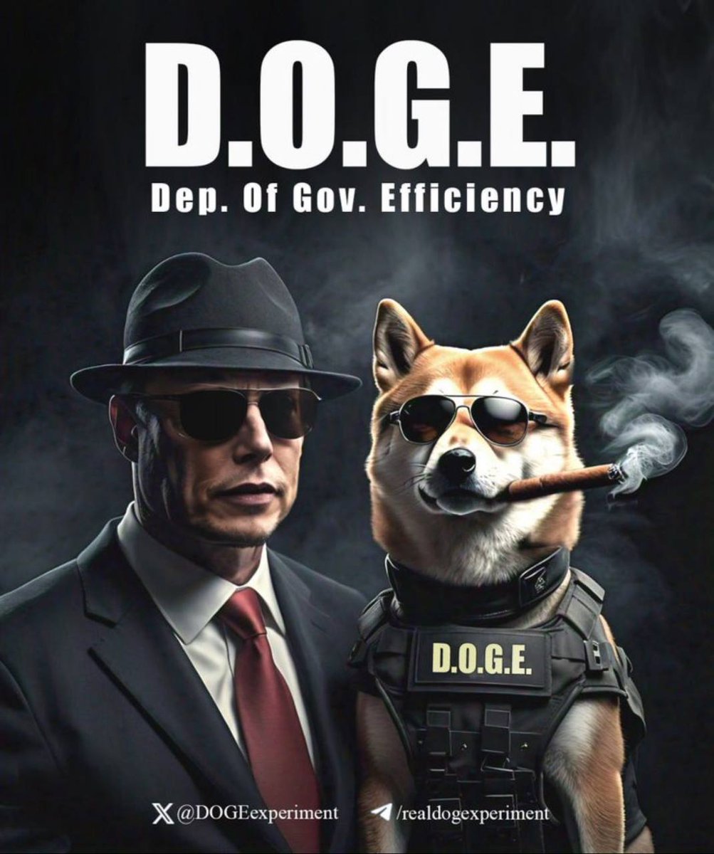 moonCoinBoi's tweet photo. @elonmusk Let's go Elon 🔥

$DOGE is what we need 🫡 https://t.co/KNAl3fFhb2