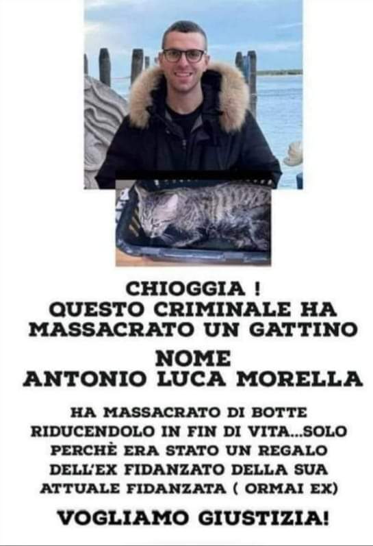 Se qualcuno abita da quelle parti.....