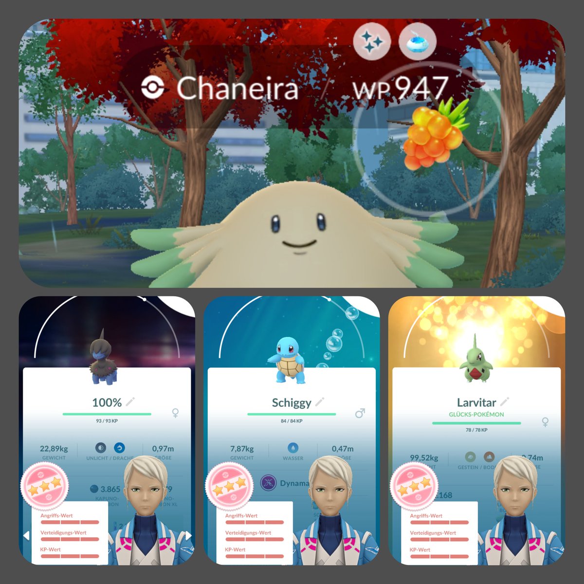 BlackSeals81 tweet media