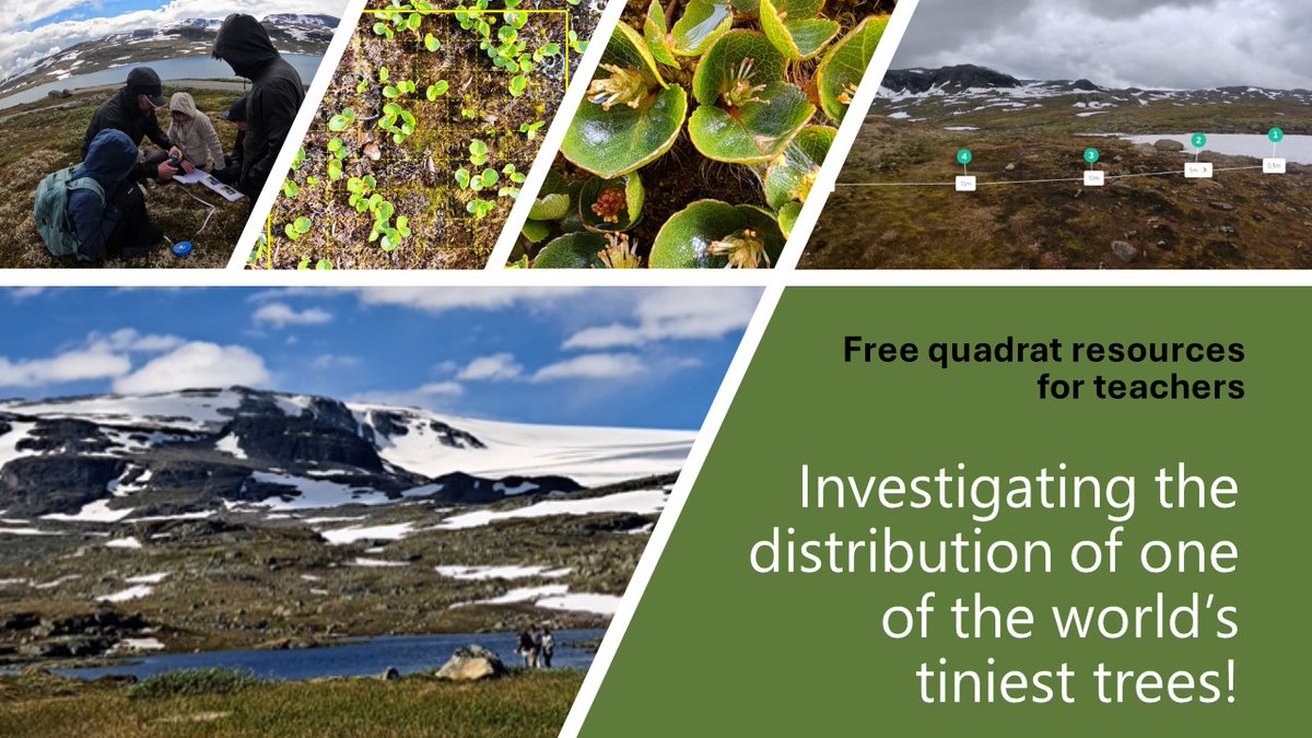 Jeremy Pritchard tweet media