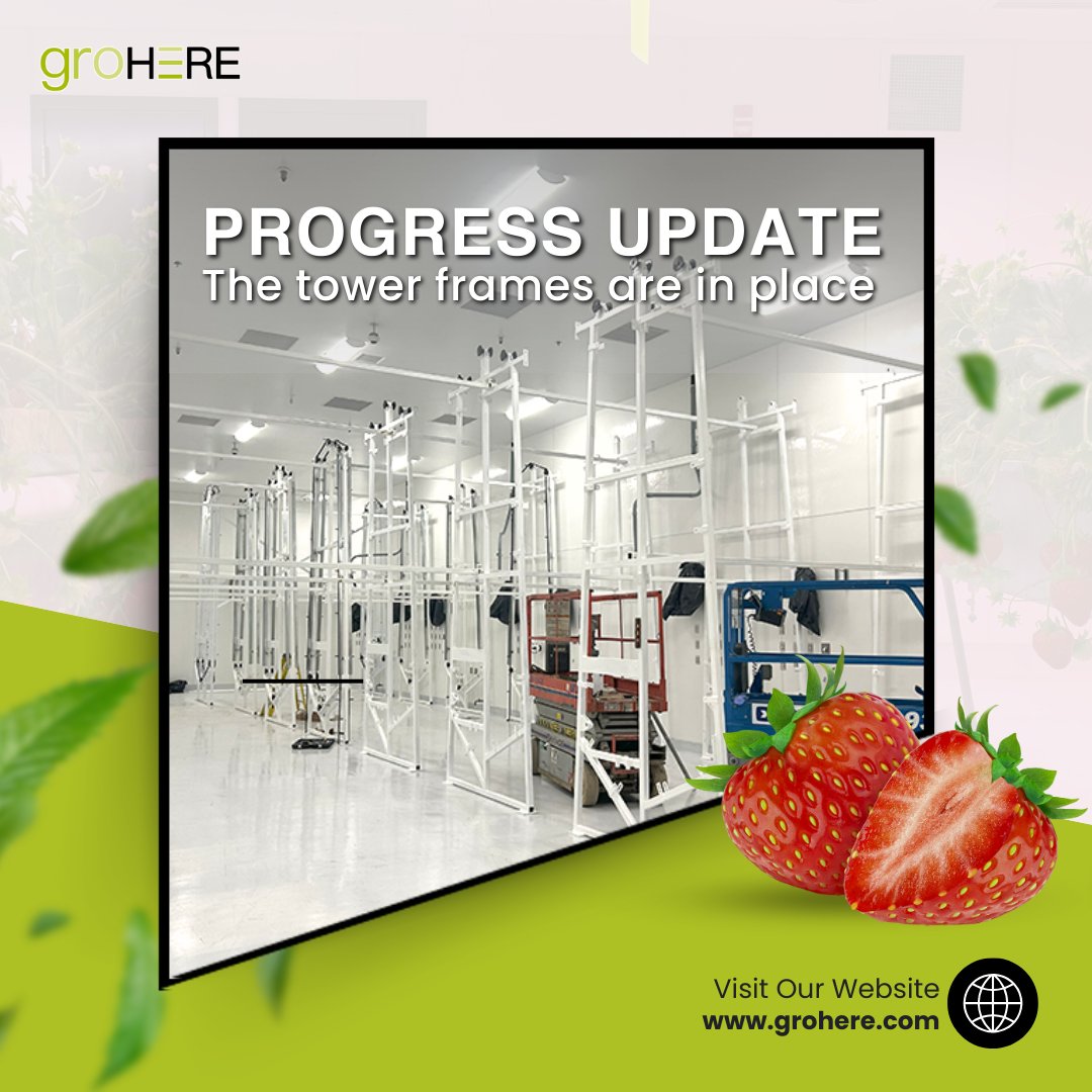 We're thrilled to share a major milestone at #GroHERE! 🍓
Our tower frames are now in place, marking a significant step towards bringing you the freshest, most flavorful #strawberries grown right here in #Alberta. 🎯

Stay tuned for more updates! 
#AlbertaStrawberries #LocalFood