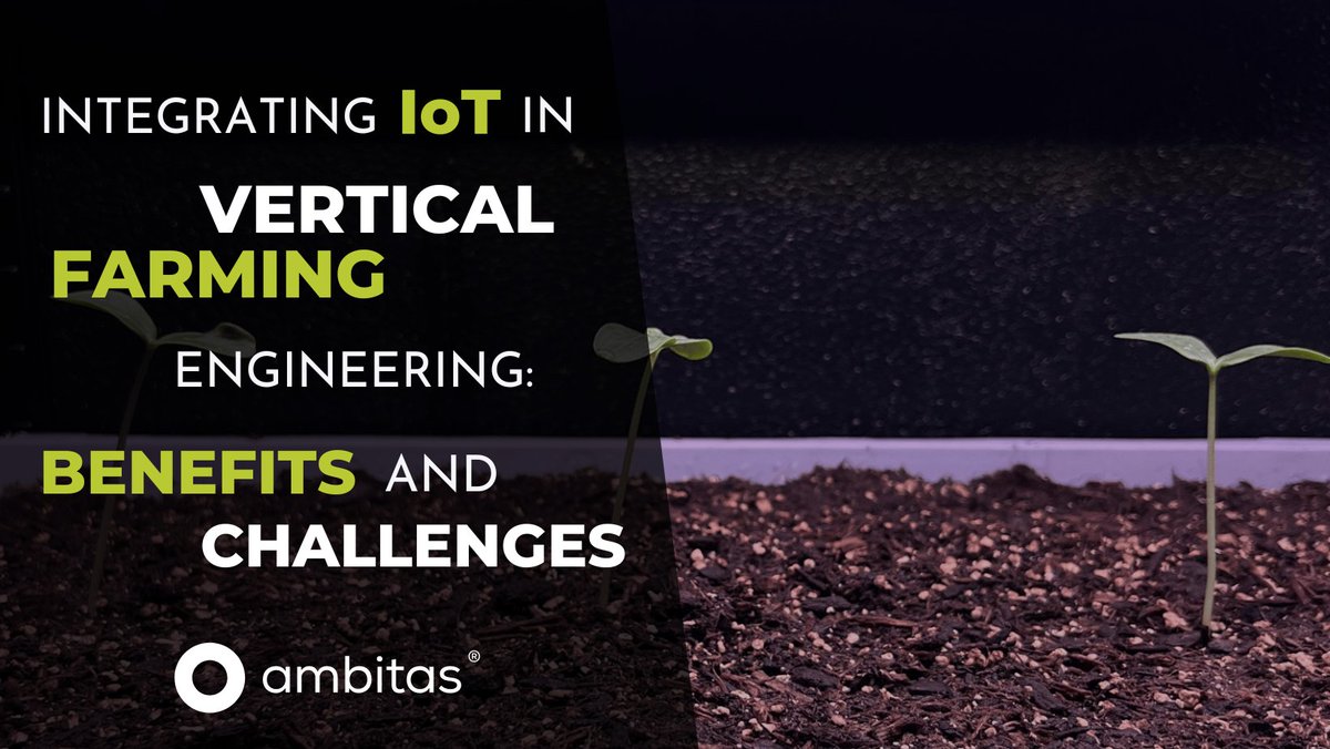 ambitas's tweet image. the future of farming is smart! discover how IoT optimizes vertical farming operations in our new blog.

discover here: ambitas.org/blog/integrati…

#iot #internetofthings #iotengineering #urbanfarming #verticalfarming #iotcompany #iotsensors