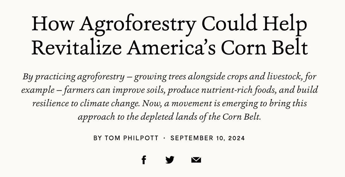 I have a new piece in Yale E360.