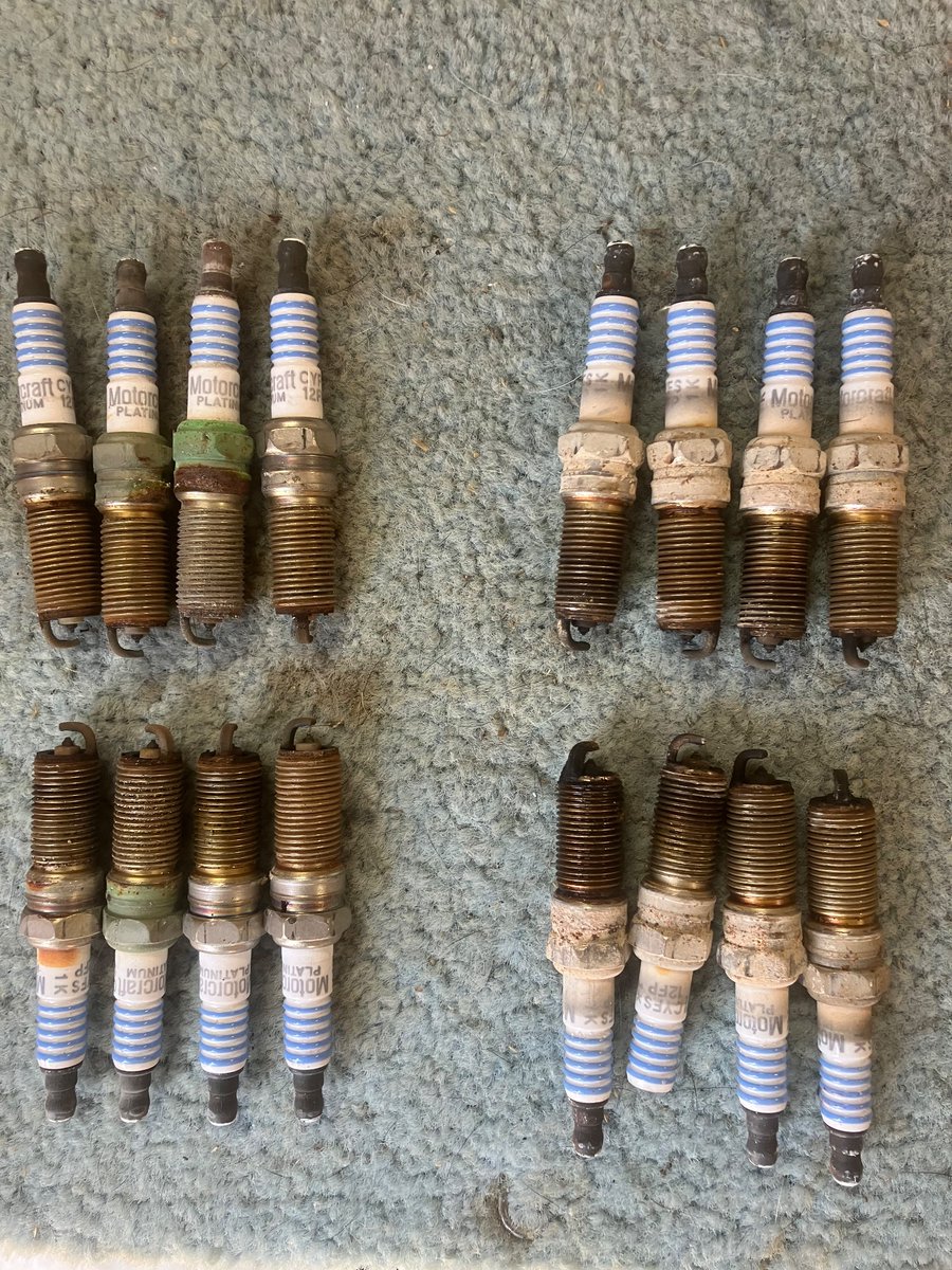 Plugs on the right are from the lower end on a 2012 Ford 6.2 gas engine. 
Plugs on the left are from the upper portion. 
It was a little past due. 
I expect much better performance in the near future 🤠