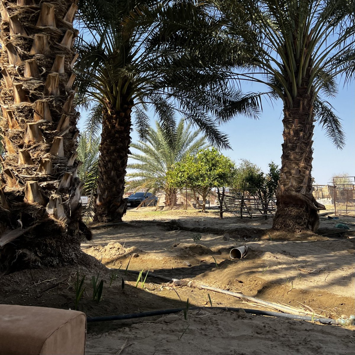 w0t1_'s tweet photo. ديرتي ..
ودي أقول أن راسي في السماء
يكفي عروقي جرت .. منكم قطر الدماء
يا هل التوحيد والدين العزيز
حدثونا .. ووصفوا عبدالعزيز
حدثونا عن أبو تركي العظيم .. حدثينا
عن أبونا الفارس الشهم الكريم .. حدثينا
عن جهاد جدودنا .. اللي خلوا حدودنا
من بحرها لبحر .. ديرتي كل فخر 💚 https://t.co/NI7Rz3kndt