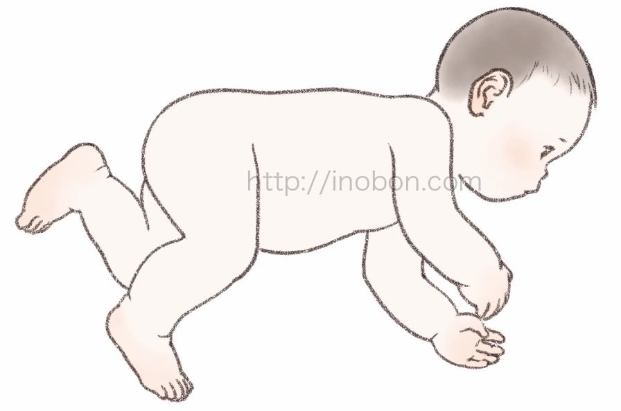 inoue_bonbon's tweet image. 🌸お仕事紹介
「改訂2版 小児の頭蓋健診・治療ハンドブック」
乳児の頭の形、運動の発達など、
診察のための専門書🤗
解説用の挿し絵のご依頼でした

曖昧にせず写実的に
かつ、温かみのあるタッチで

#乳児健診 #育児相談 #保健師 #助産師  #NICU #PT  #ヘルメット治療　 #イラストの依頼　#挿絵