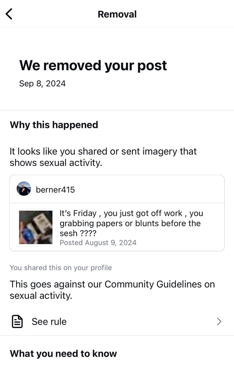 Berner tweet media