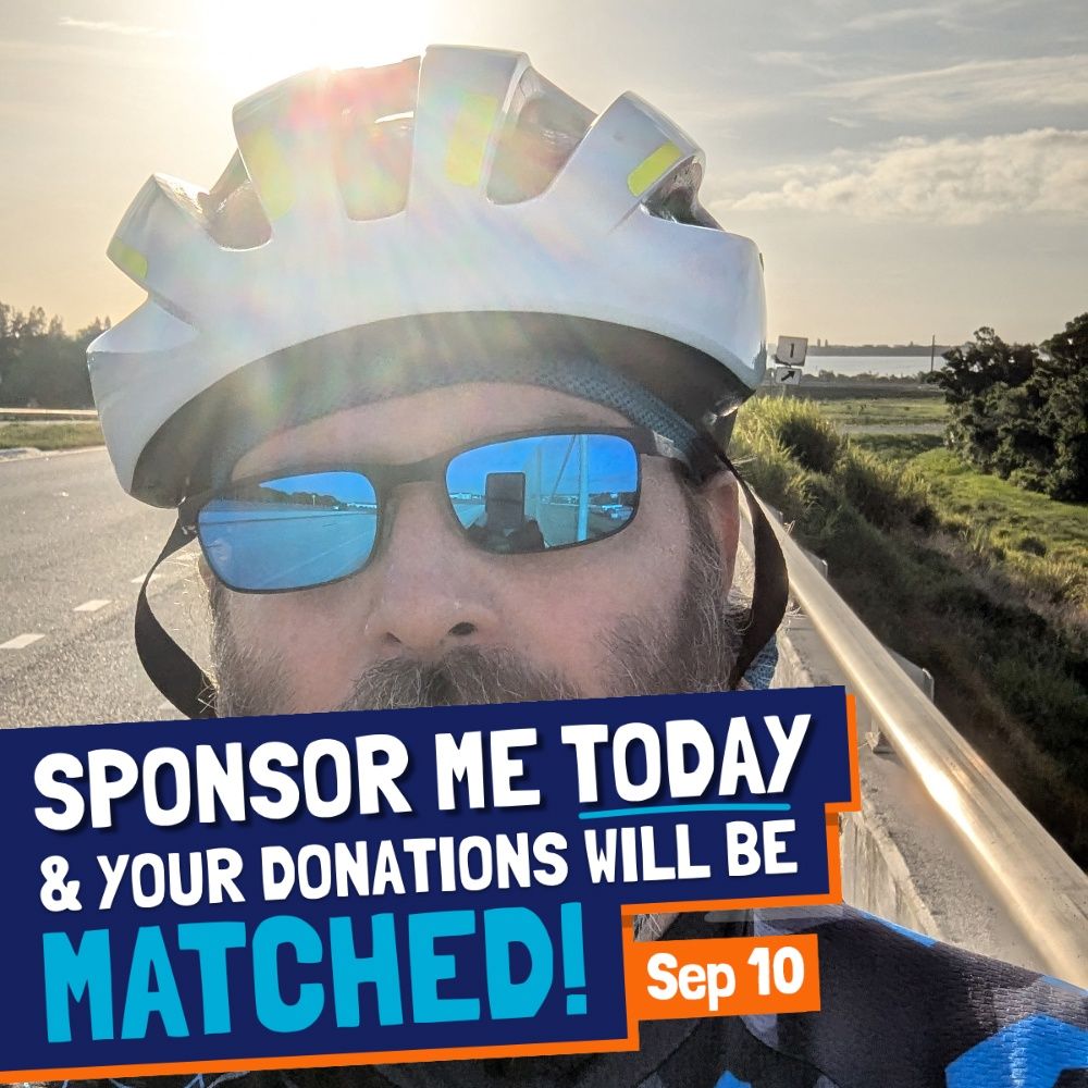 Element Z tweet media