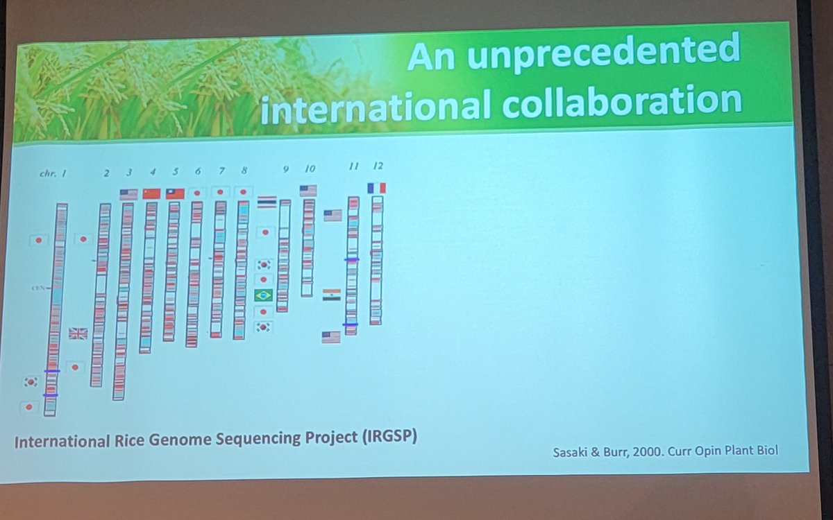 Pankaj Jaiswal (@pjaiswal37) on Twitter photo I am honored to attend the #IERFG2024 celebrating  20th anniversary of the completion of the rice genome. A work that was also recognized by the 43rd US President and the <a href="/WhiteHouse/">The White House</a> in 2002.
#rice I am honored to attend the #IERFG2024 celebrating  20th anniversary of the completion of the rice genome. A work that was also recognized by the 43rd US President and the <a href="/WhiteHouse/">The White House</a> in 2002.
#rice