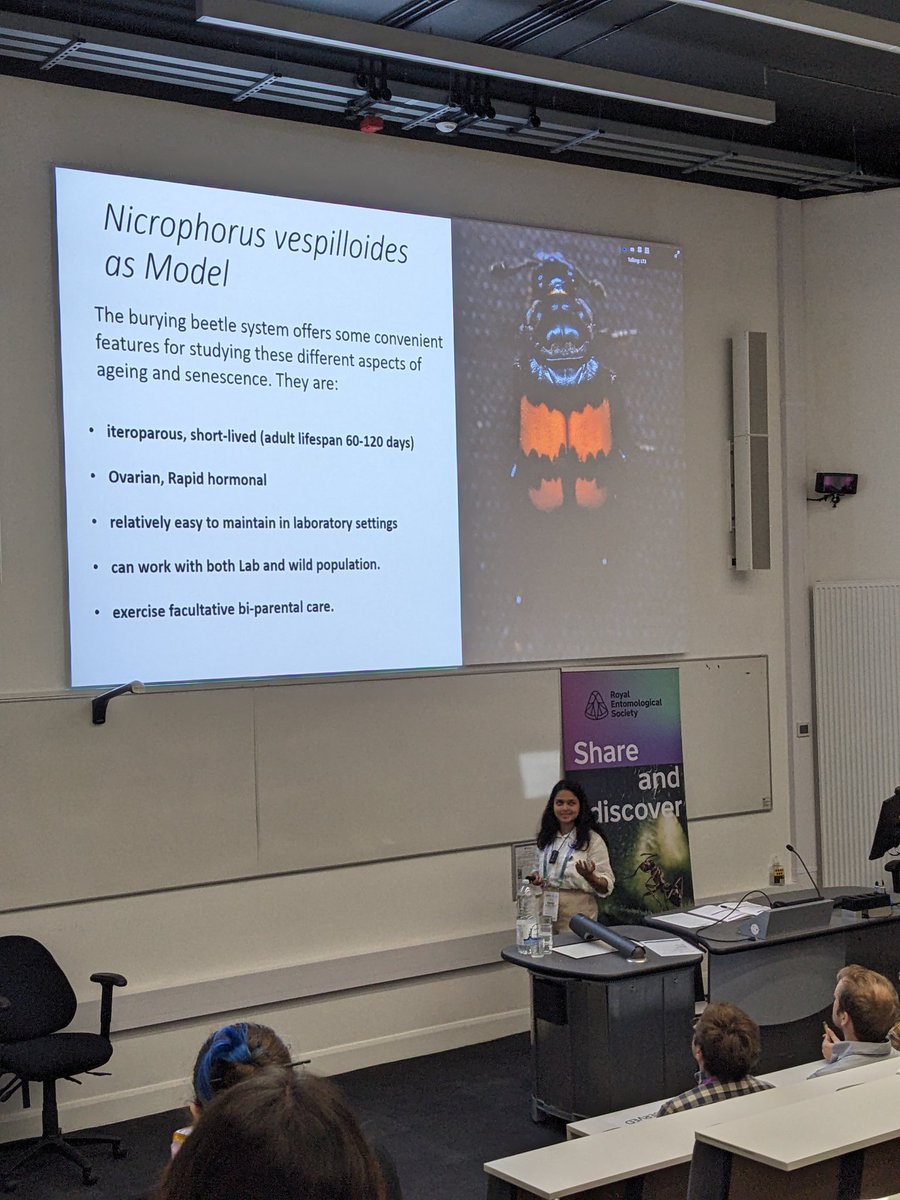 Jamie C. Weir (@jamie_c_weir) on Twitter photo Very interesting talk on the plasticity of ageing by fellow <a href="/SBSatEd/">Biological Sciences | University of Edinburgh</a> researcher <a href="/kumaririyapati/">Kumari Riya Pati</a>, featuring brutal scenes of beetle combat... πͺ²π₯πͺ²
Nicrophorus vespilloides extremely popular in the evolution session today at <a href="/RoyEntSoc/">Royal Entomological Society</a> #Ento24 Very interesting talk on the plasticity of ageing by fellow <a href="/SBSatEd/">Biological Sciences | University of Edinburgh</a> researcher <a href="/kumaririyapati/">Kumari Riya Pati</a>, featuring brutal scenes of beetle combat... πͺ²π₯πͺ²
Nicrophorus vespilloides extremely popular in the evolution session today at <a href="/RoyEntSoc/">Royal Entomological Society</a> #Ento24