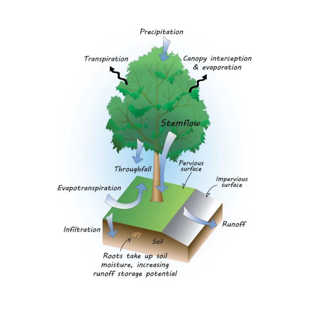 Indy Department of Public Works tweet media