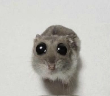 #iPhone16 

#Apple #AppleEvent2024