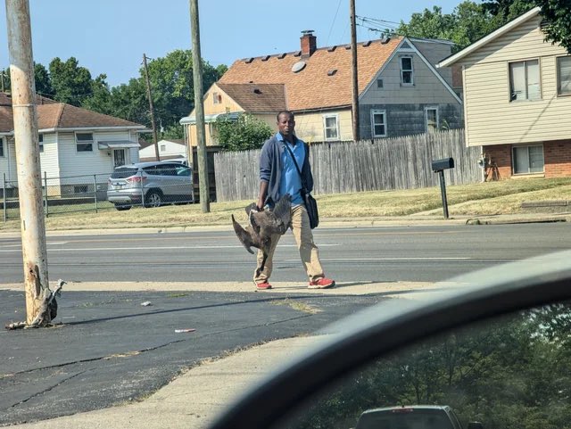 NEW: I spoke to the individual who took this photo that’s being cited as proof that Haitian immigrants are eating cats, ducks &amp; geese in Springfield, Ohio.

Only the photo wasn’t even taken in Springfield. And there’s no evidence the man is Haitian dailydot.com/debug/redditor…