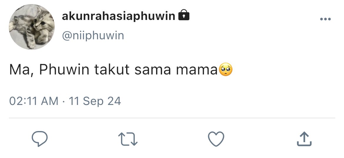 seren tweet media