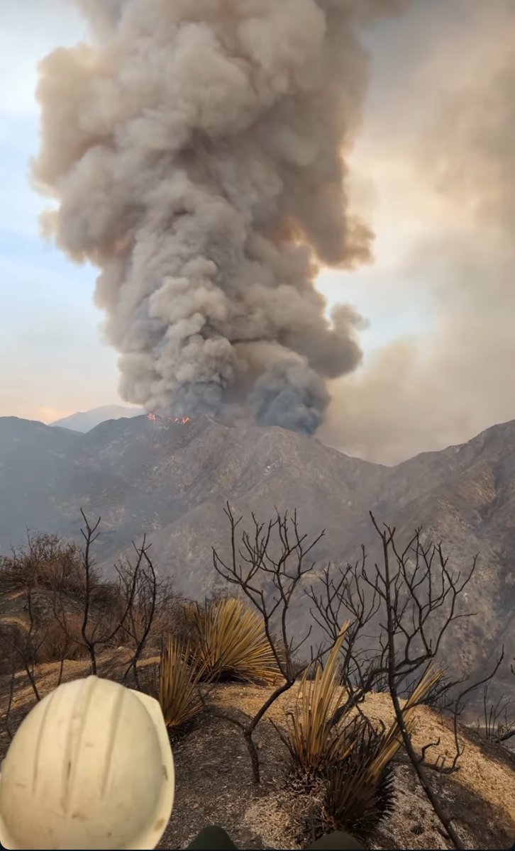 California: The Bridge Fire on the Angeles National Forest is once again a plume dominated fire and is pushing 4,000 acres. #airportfire 
#wildifre #cafire #bridgefire #linefire
Both the Line Fire 26,000+ acres (San Bernardino county) and the Airport Fire 10,000 acres (Orange