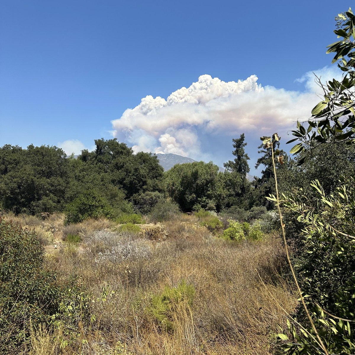 Bridge Fire in the San Gabriel Mountains as seen from <a href="/CABotanicGarden/">California Botanic Garden</a> in Claremont.