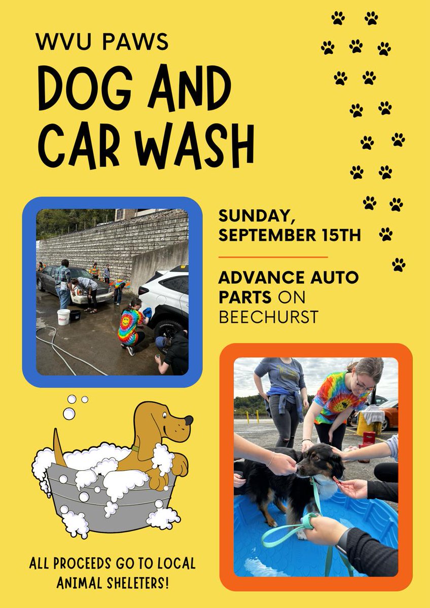 WVU_PAWS's tweet photo. Hello everyone!!!!! The dog and car wash is almost here. The dog and car wash is downtown at Advanced Auto on September 15th. The shifts are already on iserve if you haven't already signed up. We look forward to seeing you all there! https://t.co/fDwybK1cl3