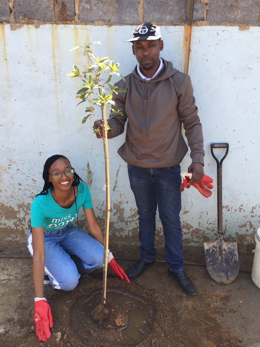 _fatsonthite's tweet image. Planting peach trees at Little Rose Centre with Manager Nhlanhla and his colleague 🌱 

@missearth_sa

Photography by Dad 👨🏿‍🦲❤️ (first and second frame)

#missearthsa #arbourweek #treeplanting #community #soweto