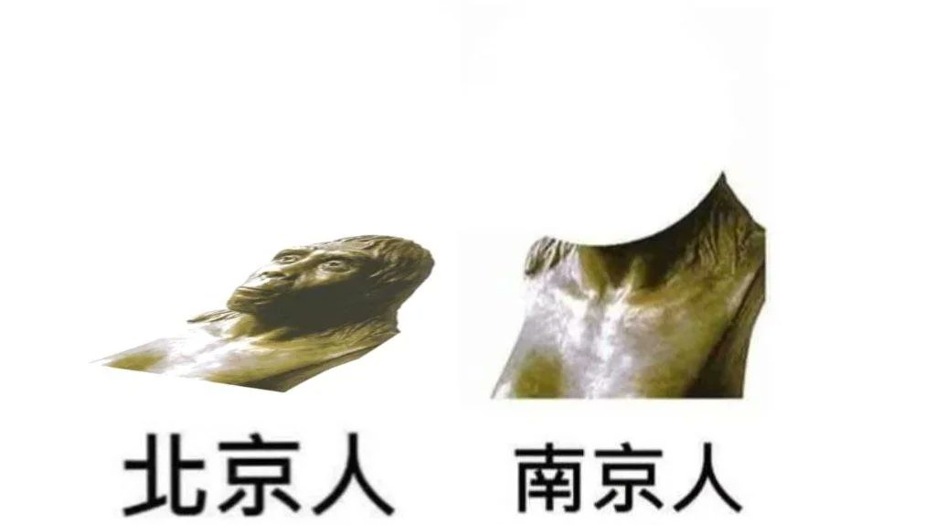 🇨🇳🐖真多 tweet media